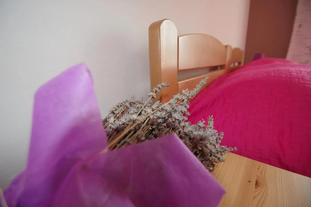 Apartment Suzi Valdebek プーラ