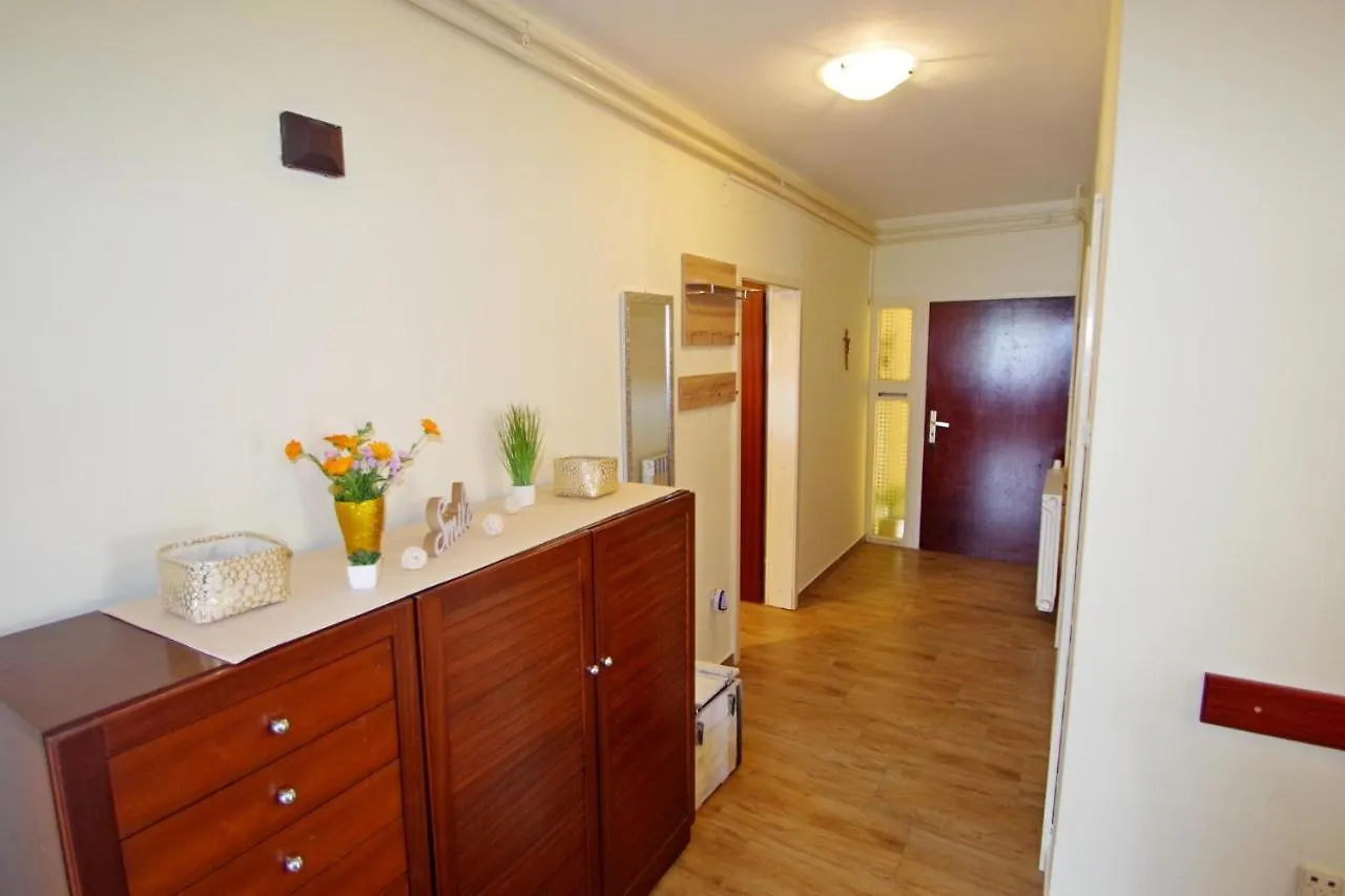 Apartment Suzi Valdebek プーラ